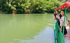 国产四线区芒果